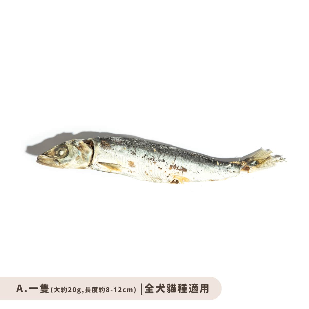 日曬沙丁魚乾