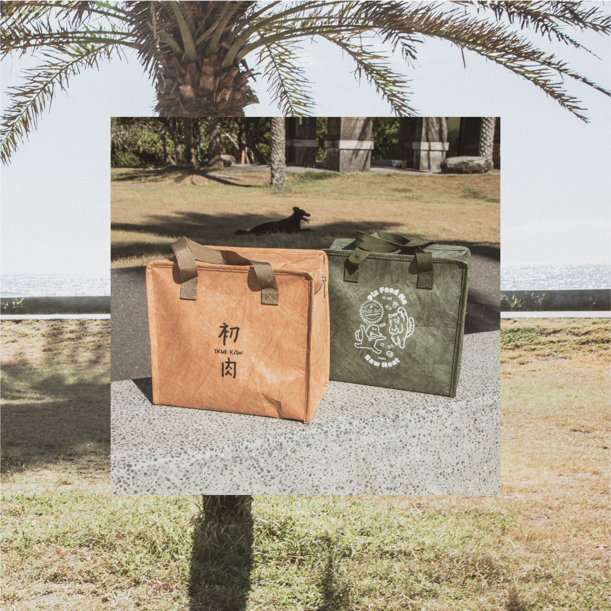 初肉大容量隨身保冷袋9L