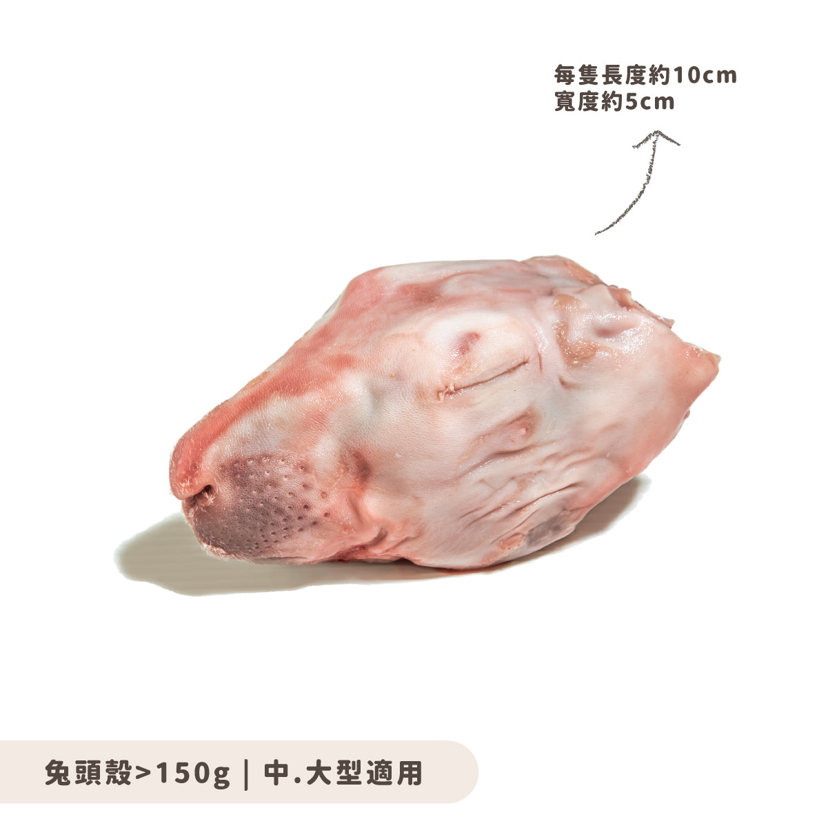 兔頭殼
