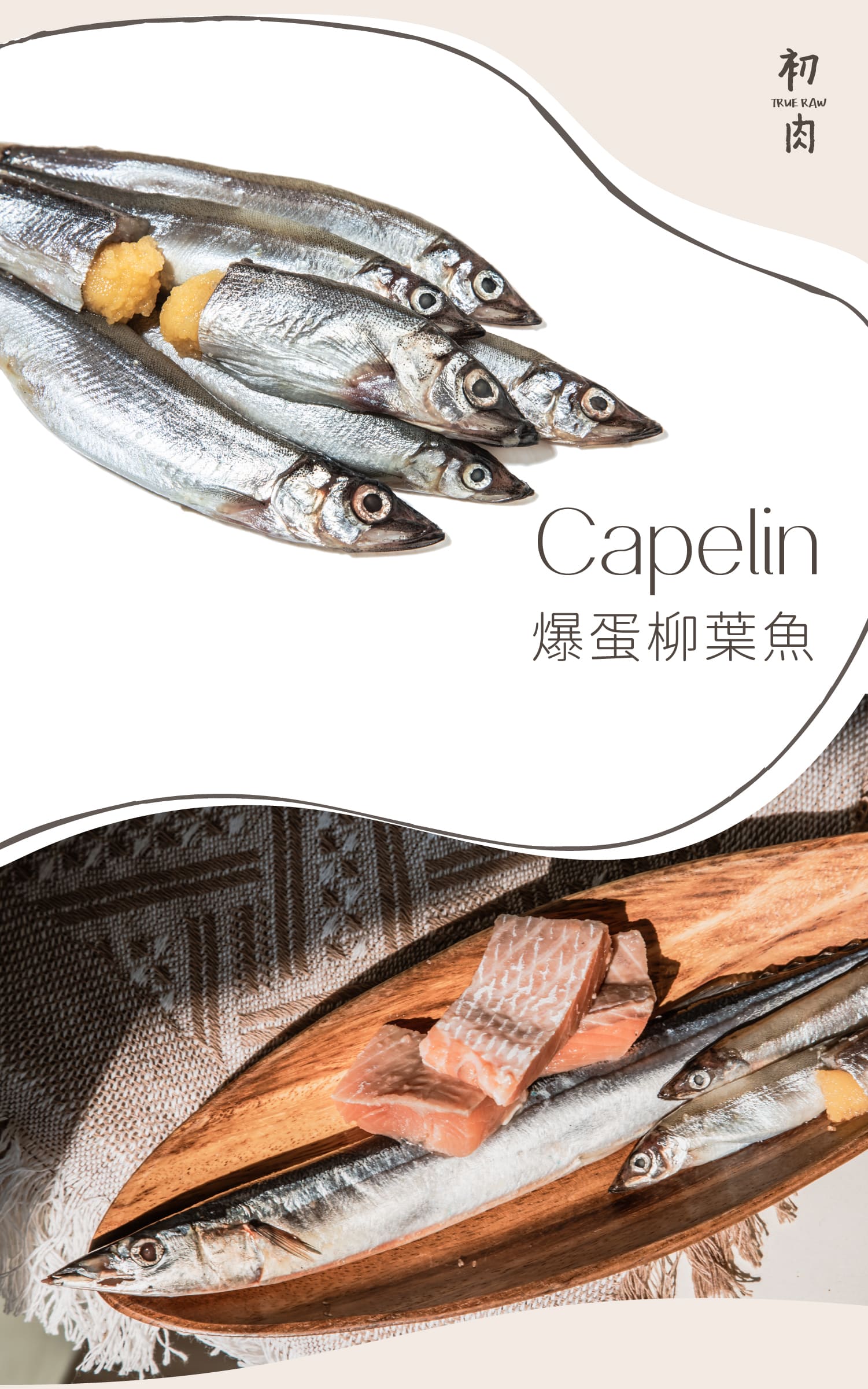 噗滋柳葉魚