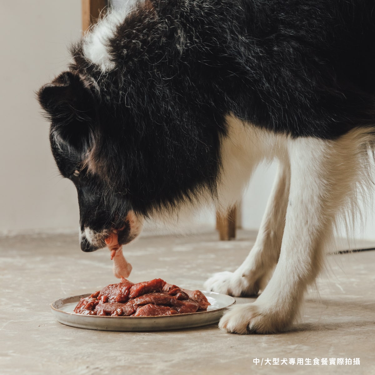 犬用原型生食餐 超商冷凍免運組$999