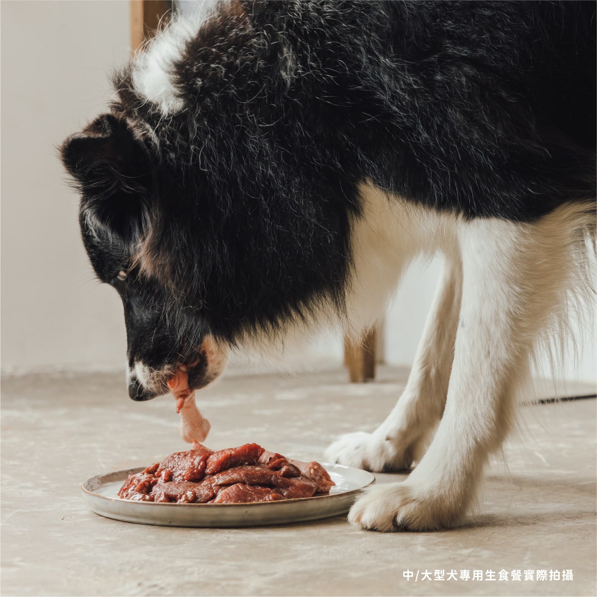 犬用原型生食主餐｜肉來我就初 - 吮指鮮牛