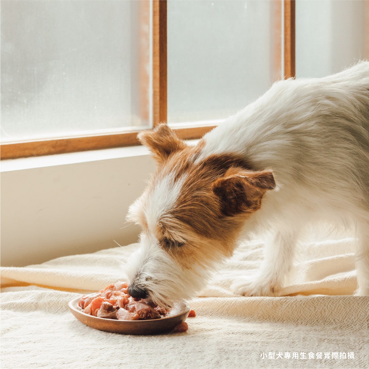 犬用原型生食主餐｜肉來我就初 - 吮指鮮牛