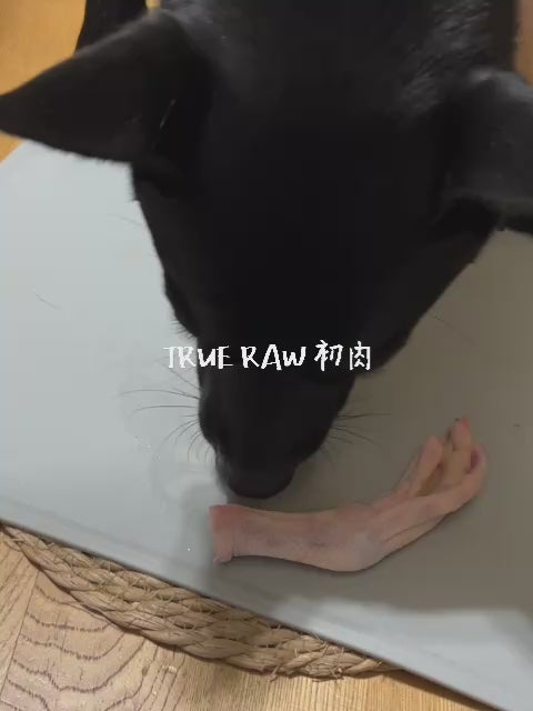 鴨爪